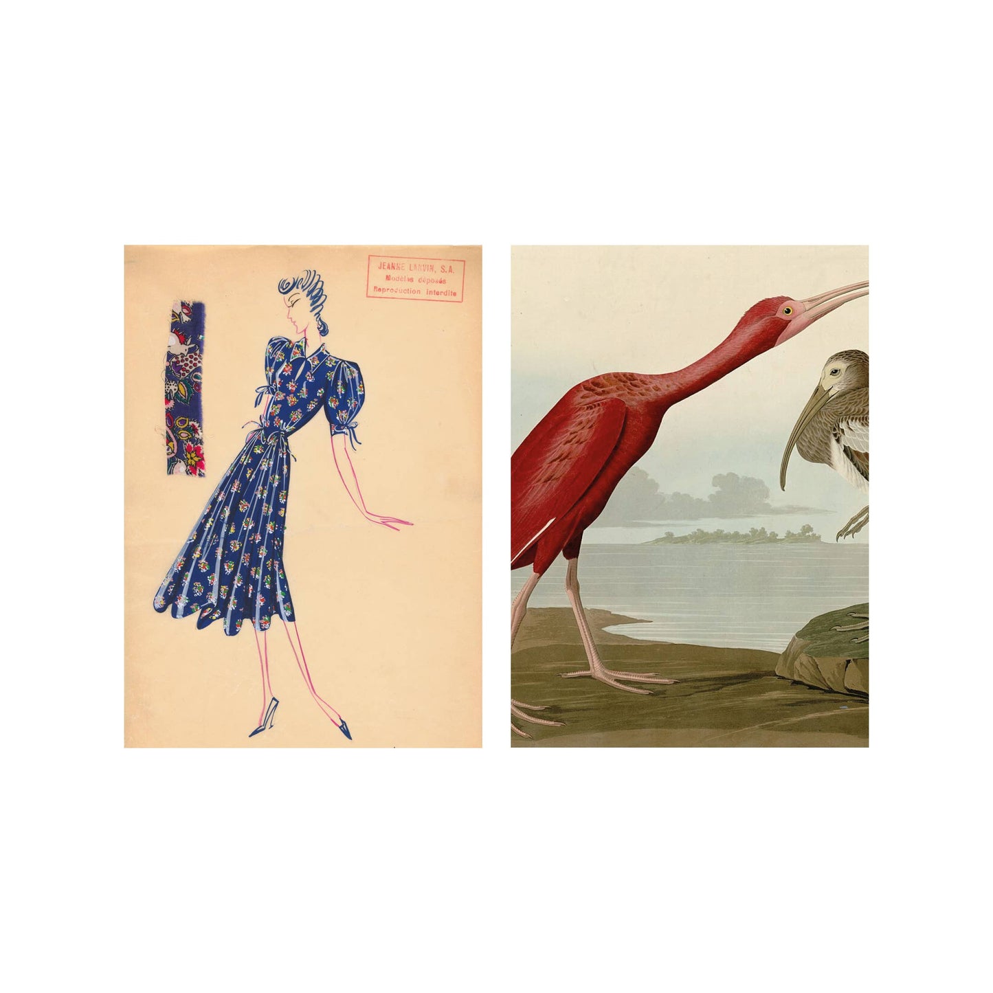 Postkarte #1 - Dame und Ibis