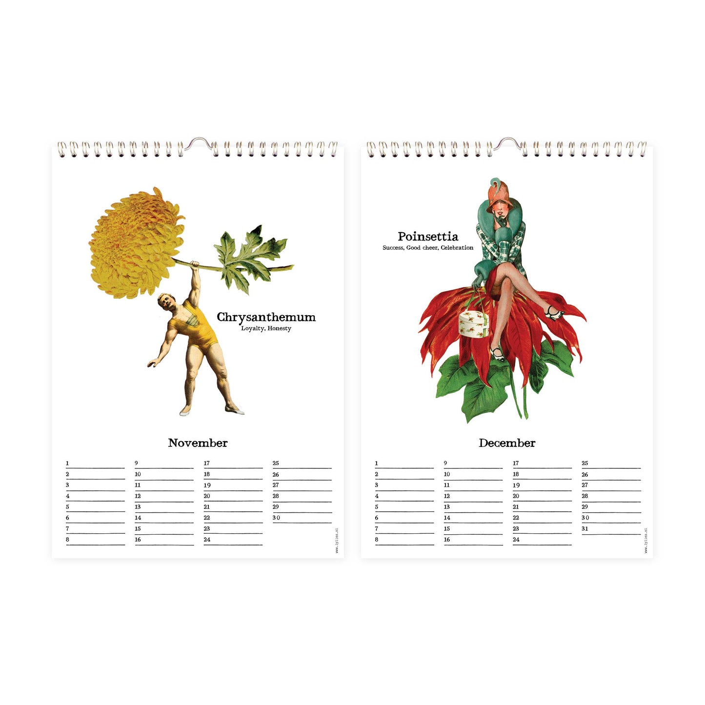 Geburtstagskalender - Monatsblumen, A4