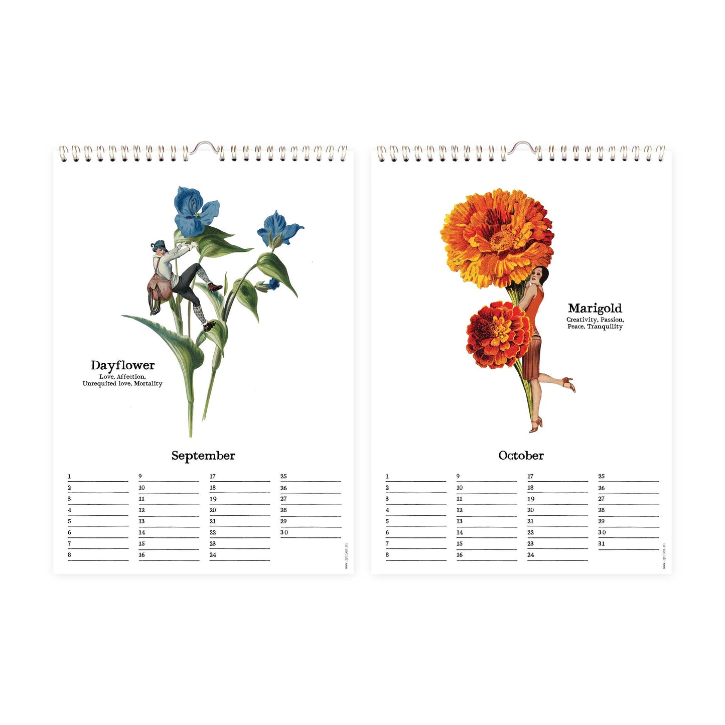 Geburtstagskalender - Monatsblumen, A4